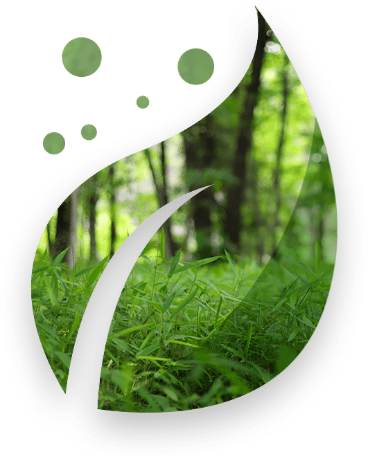 Environmentally sustainability Eco Leaf